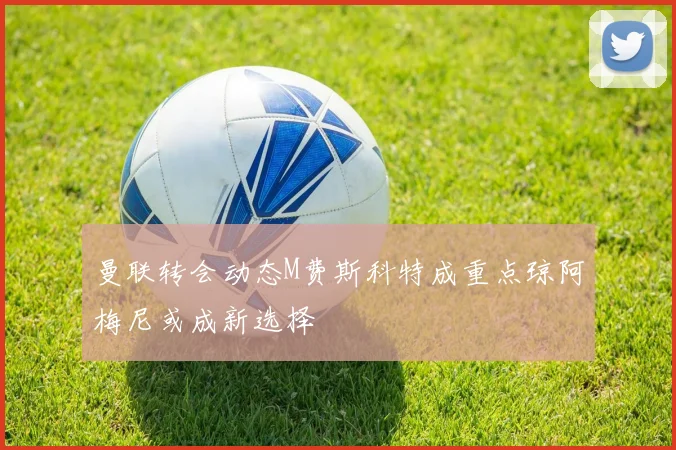 曼联转会动态M费斯科特成重点琼阿梅尼或成新选择
