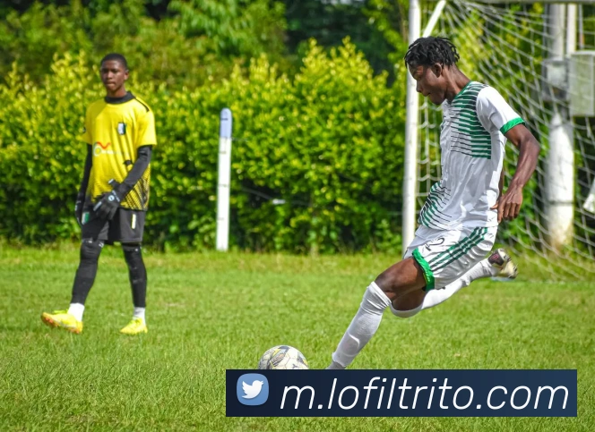 九游j9平台入口品牌故事